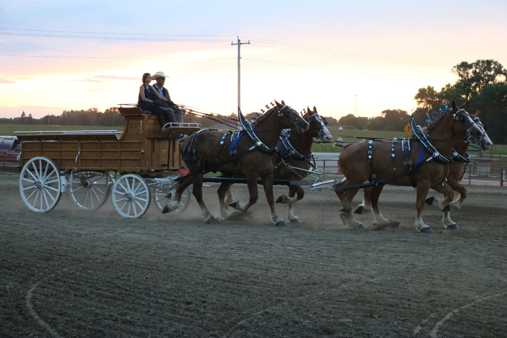 4-Horse Hitch 6